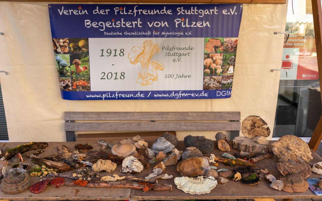 Ausstellung Hornberg 2019