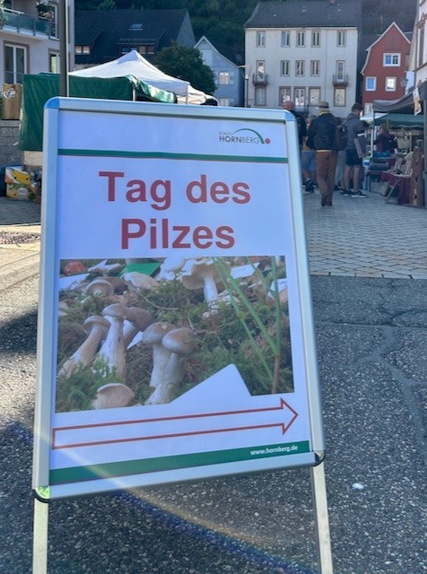 Tag des Pilzes Hornberg