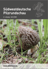 Titelbild SPR 2/2025 Titelbild SPR 2/2025