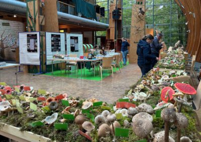 Aufbau fertig - die Besucher können kommen -2025