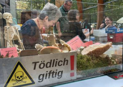 Giftpilztisch -2025