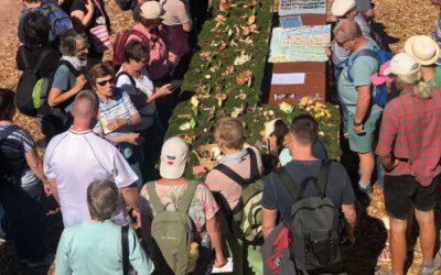 Bericht über die Frischpilzausstellung bei der Gartenschau Freudenstadt