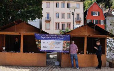 Ein kurzer Bericht zum „Tag des Pilzes“ in Hornberg – September 2025