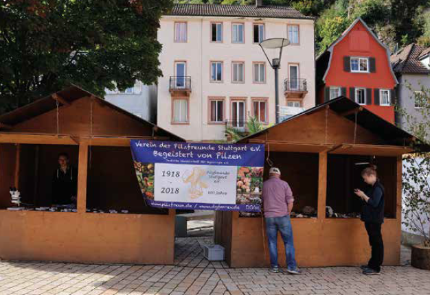 Ein kurzer Bericht zum „Tag des Pilzes“ in Hornberg – September 2025