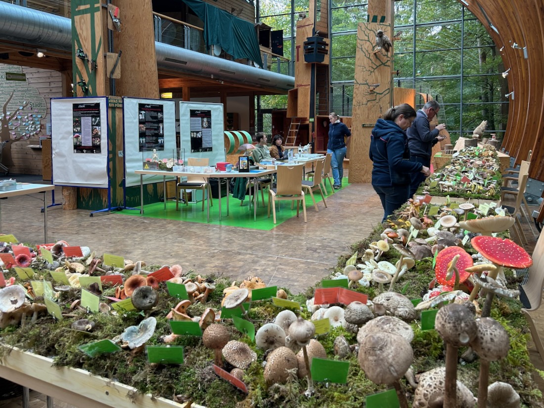 Ausstellung HdW 2025