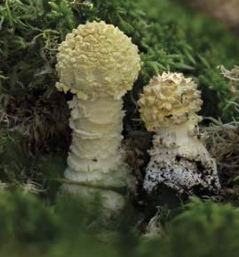 Jahrestagung Oberhof