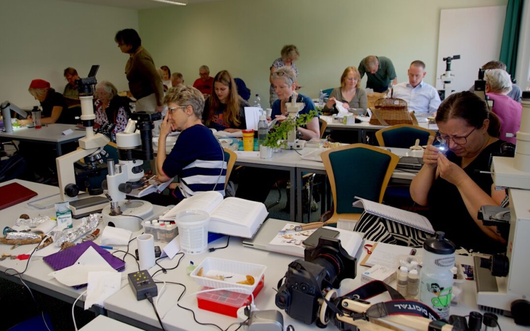 Jahrestagung der Pilzfreunde – 2025